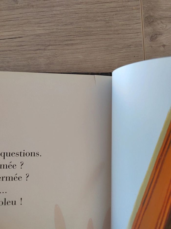 La maîtresse de lulu a disparu - photo numéro 4