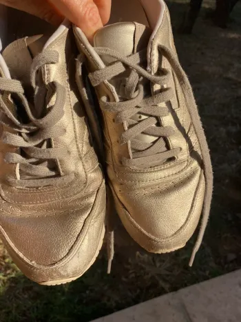 Reebok 41 dore