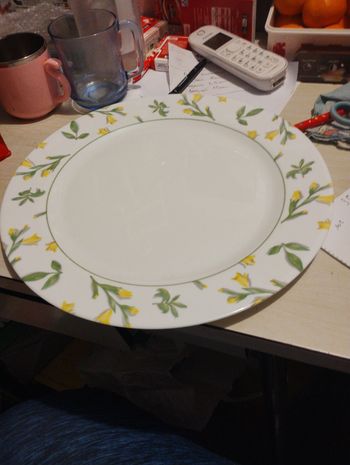 Grande assiette plate
