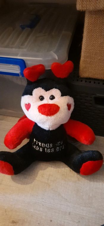 Peluche coccinelle