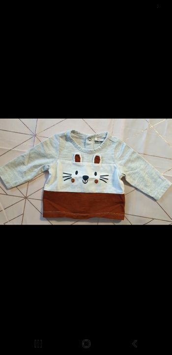 Pull lapin