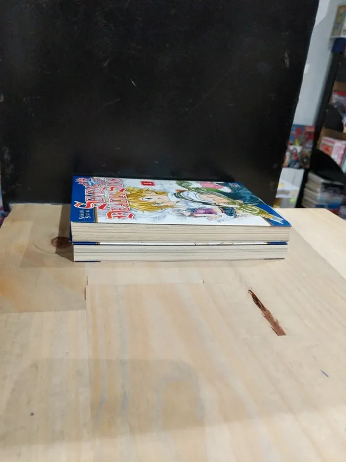 Seven Deadly Sins – Tomes 1 & 2 - photo numéro 3