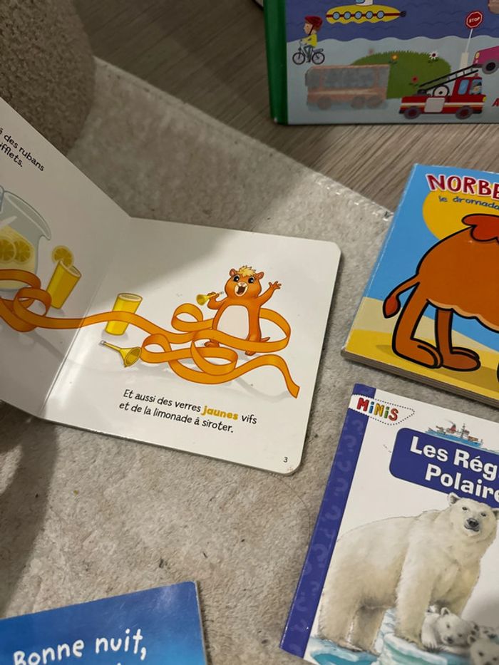 Lot livres pour enfants - photo numéro 15