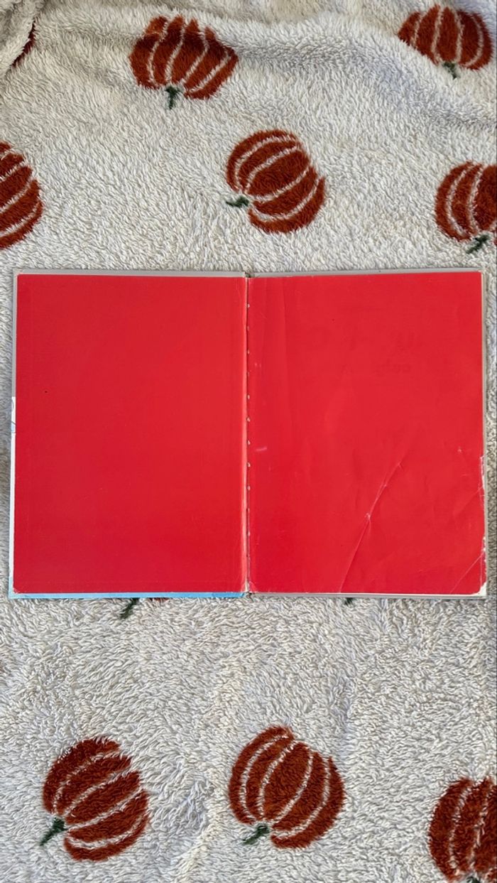 💜 Livre oui-oui et son igloo 💜 - photo numéro 4