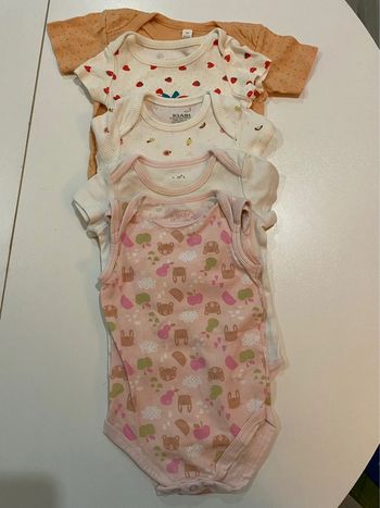 Lot de 5 bodys manches courtes