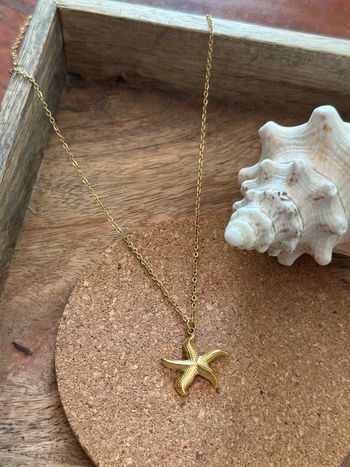 Collier doré étoile de mer – Acier inoxydable, neuf