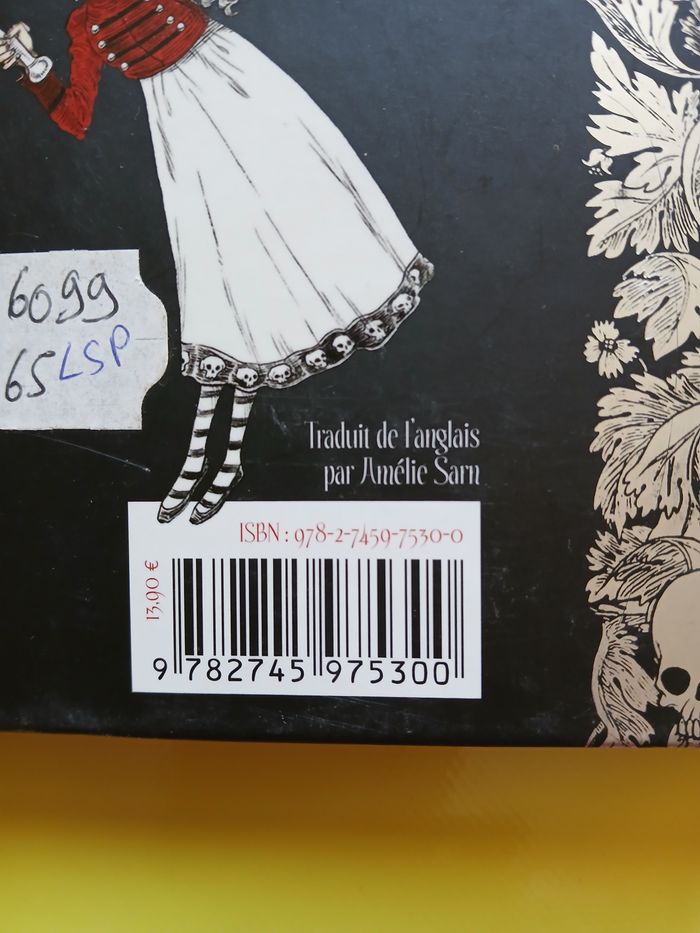 livre Lili Goth une fete d'enfer! tome 2 des 9 ans roman - photo numéro 5