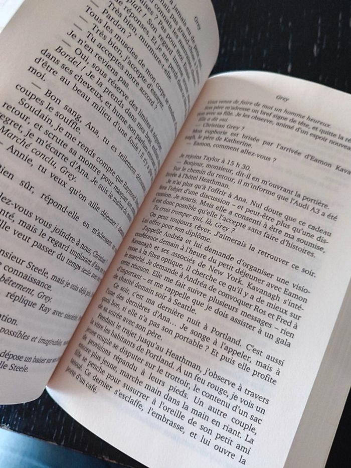Livre Grey - photo numéro 3