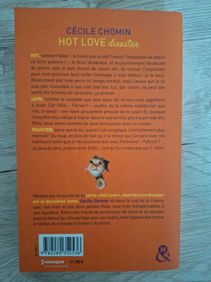 Livre Hot Love disaster - photo numéro 2
