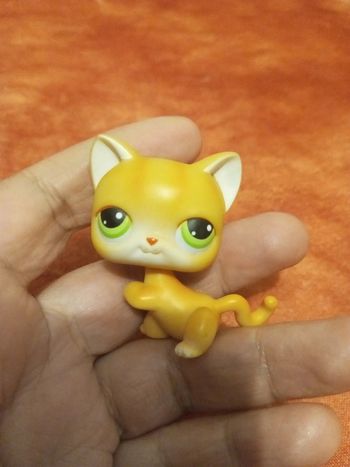 Littlest lps pet shop chat orange, yeux verts n 11