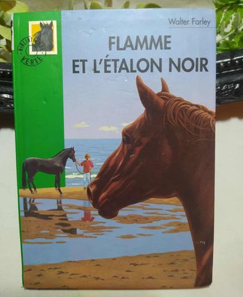 Flamme et l'étalon noir