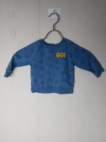 Pull bleu imprimé " Tex"