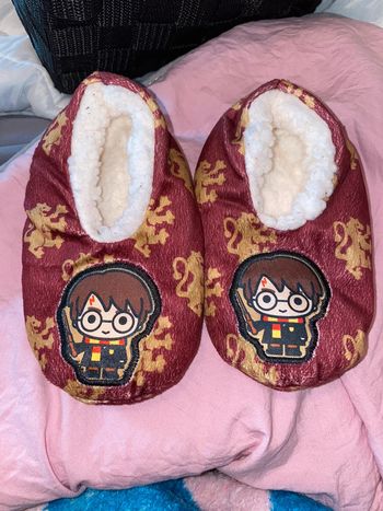 Chausson Harry  potter
