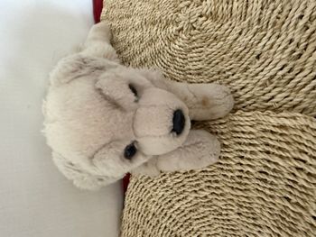 Peluche douce beige représentant un Golden Retriever couché