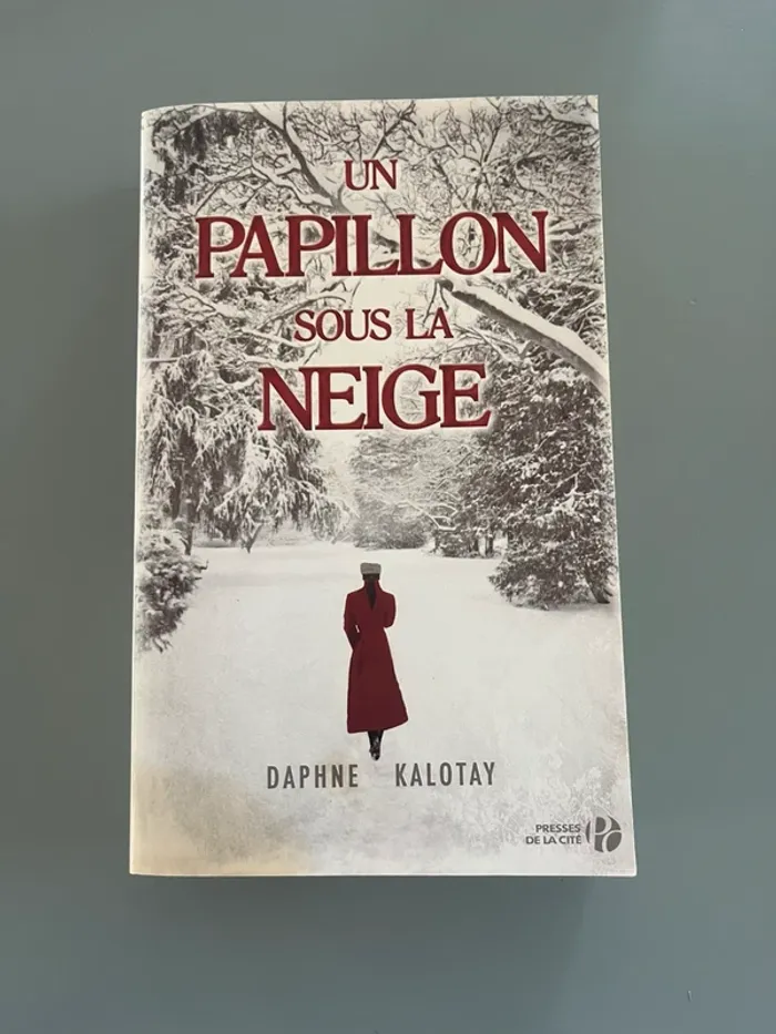 Livre type Roman un papillon sous la neige par Daphne Kalotay