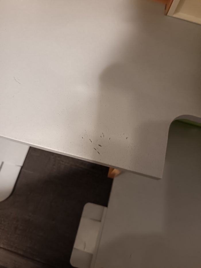 Ecole playmobile - photo numéro 7