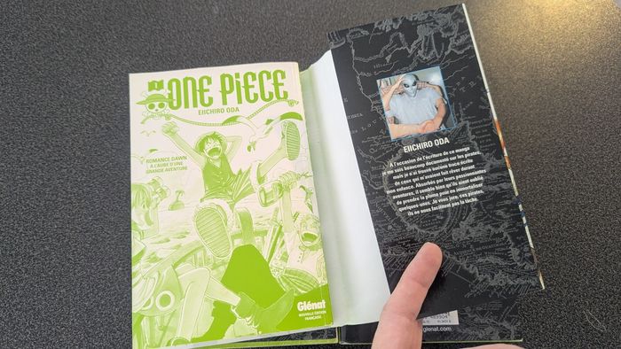 Manga one piece - photo numéro 9