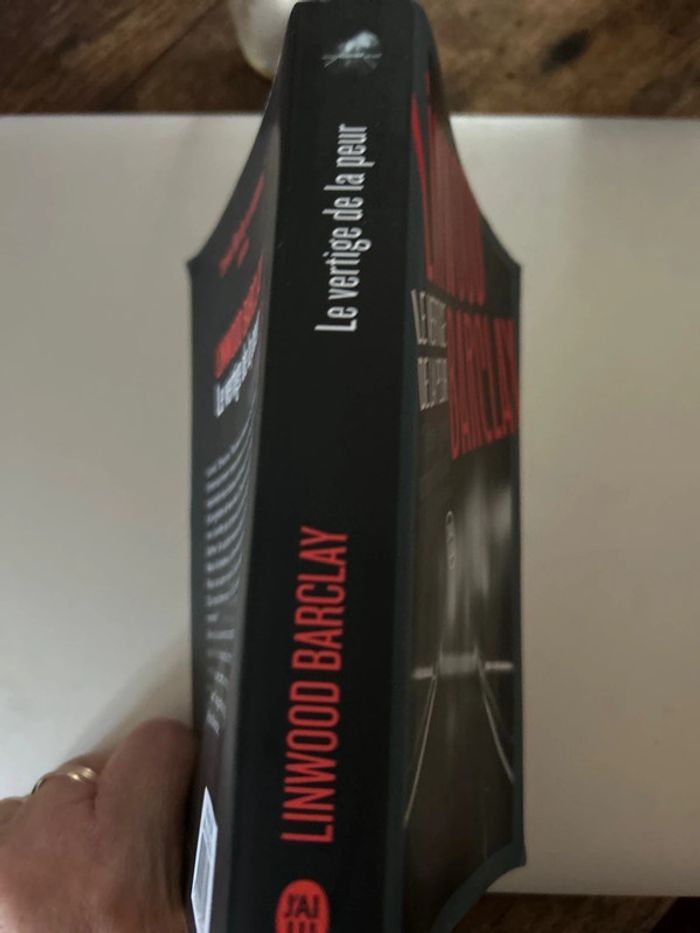 le vertige de la peur - photo numéro 3