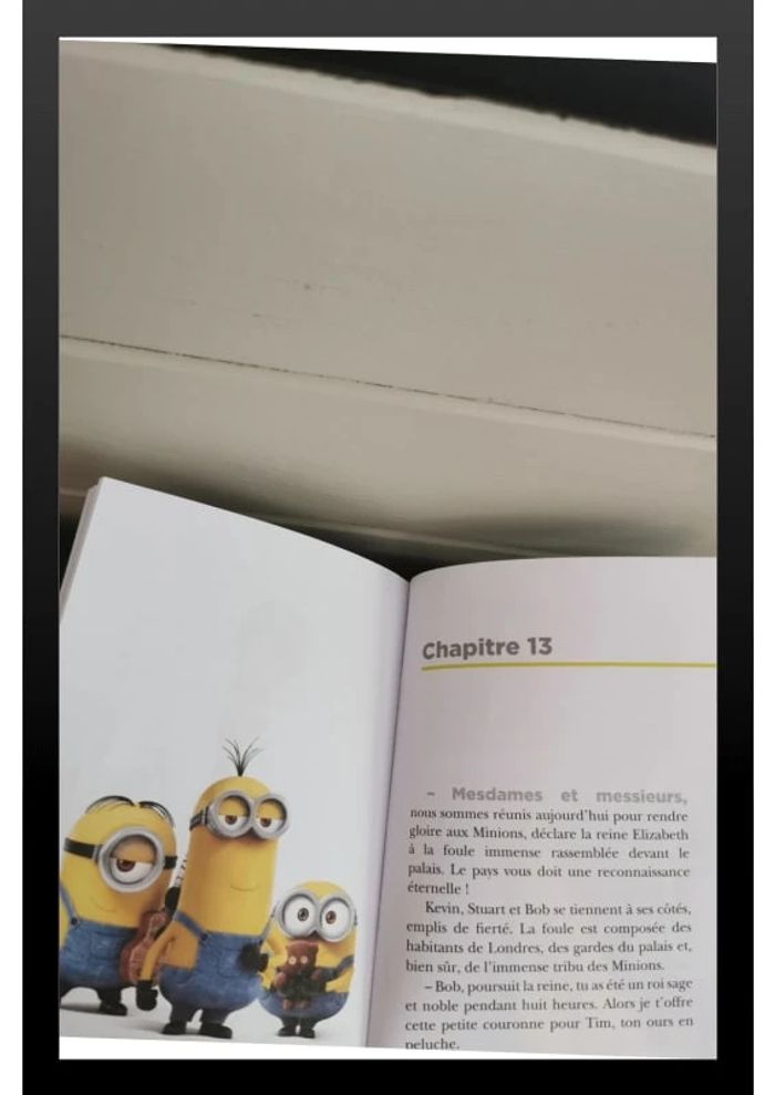 Livre "Les minions" - photo numéro 4