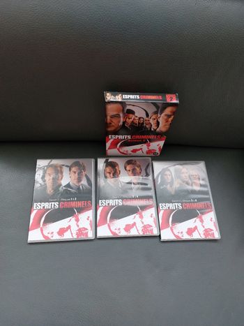 Esprits criminels, saison 2