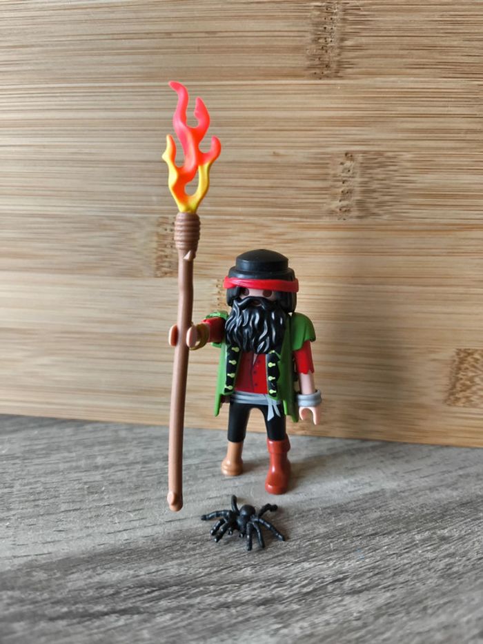 Playmobil Pirates