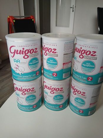 Guigoz AR anti régurgitations avec amidon deuxième âge