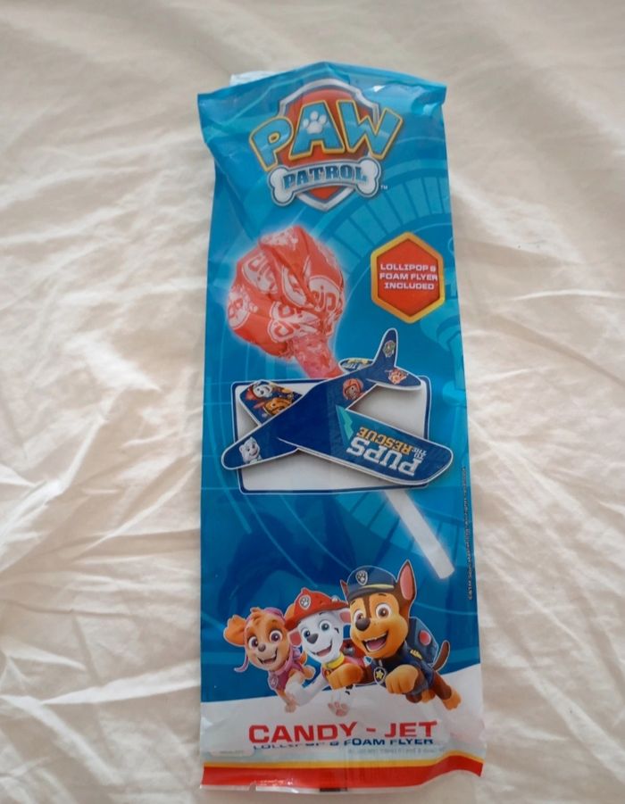 Avion en carton fin Pat Patrouille - photo numéro 4