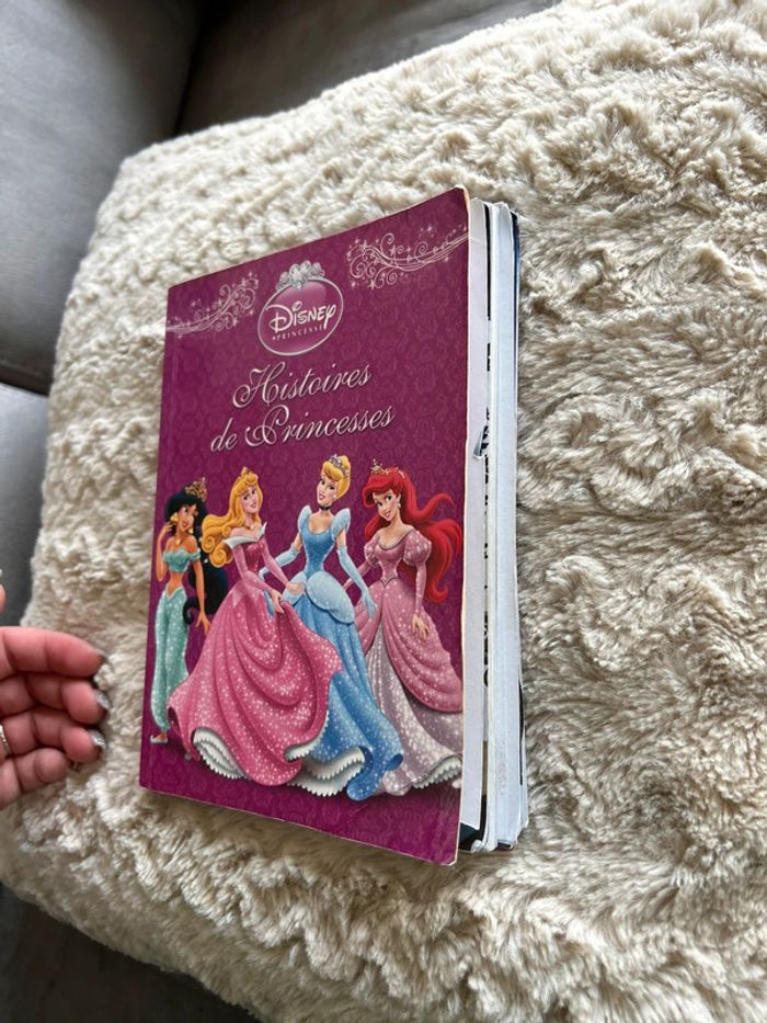 Livre princesses - photo numéro 3