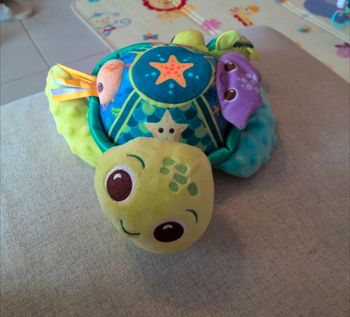 Juju la tortue 