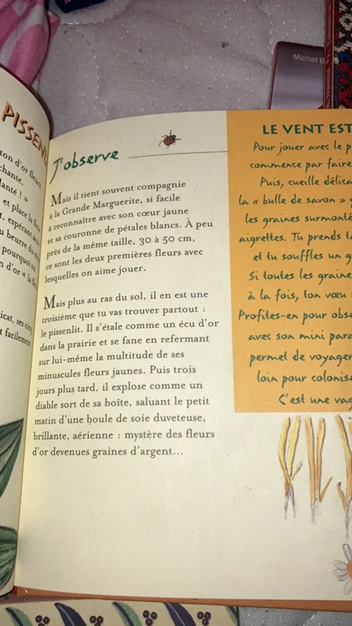 Jardin sauvage - photo numéro 3