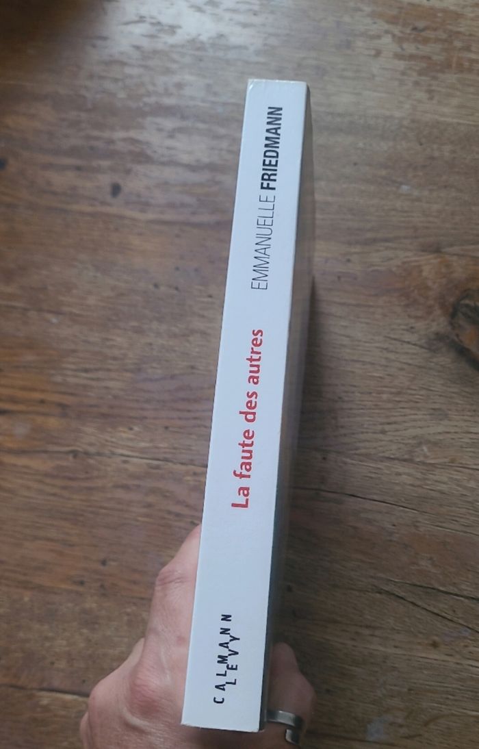 La faute des autres - photo numéro 3