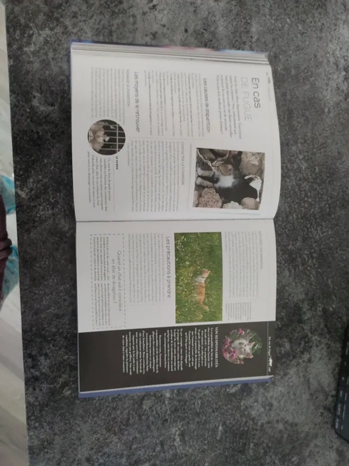 Le petit Larousse du chat et du chaton - photo numéro 4