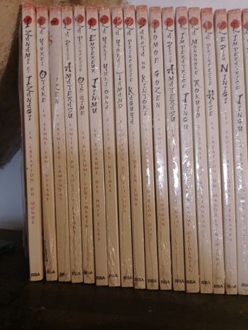 13 Livre Conte japonais