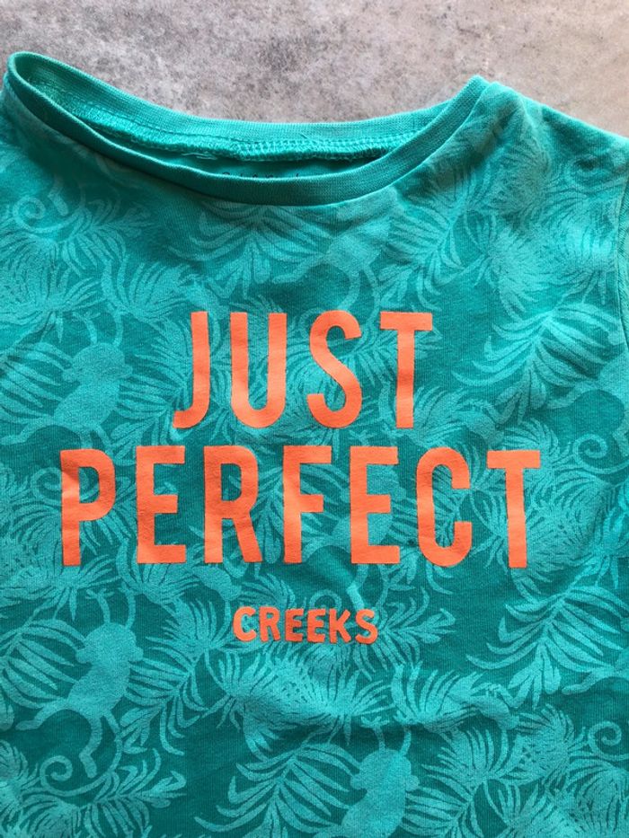 Tee shirt t shirt enfant bébé garçon Pat & Ripaton taille 18 mois - photo numéro 2