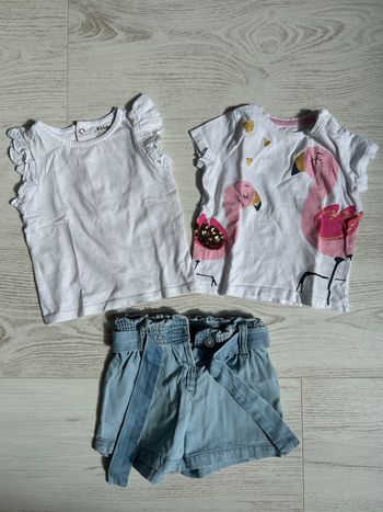 Lot 2 t-shirts et un short taille 9 mois