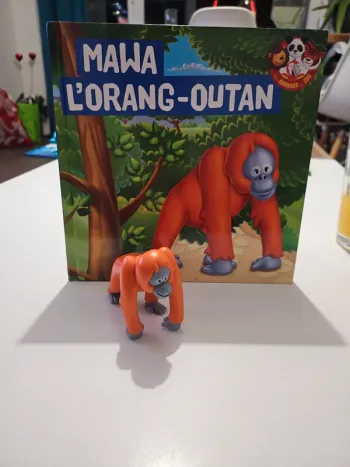 Livre animaux du zoo
