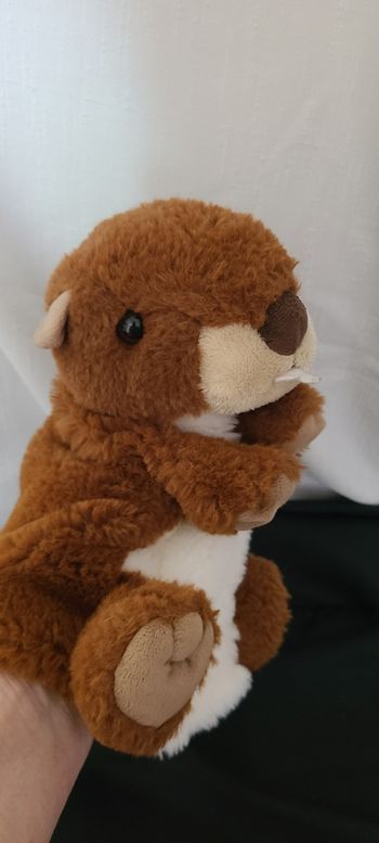 Marionnette Marmotte Castor Marron Blanc CREATIONS DANI