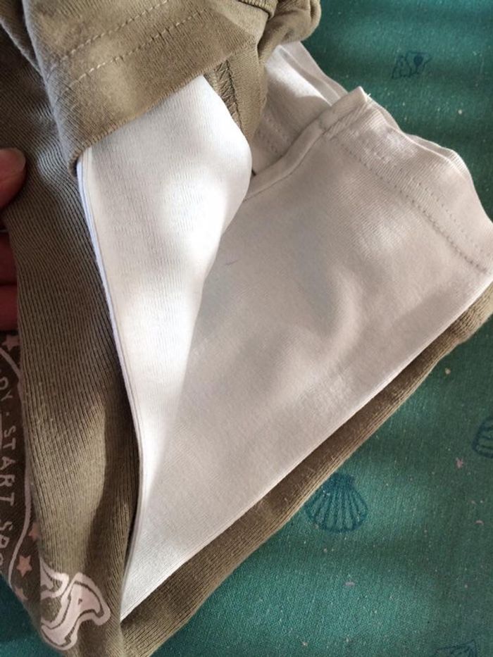 Polo Palomino - photo numéro 2