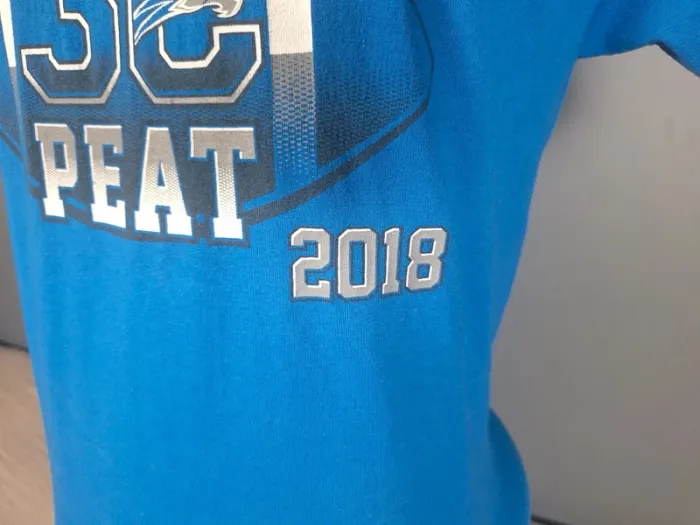 T-shirt Gildan Chandler Wolves 3-Peat 2018 – Bleu – Taille M (555) - photo numéro 4