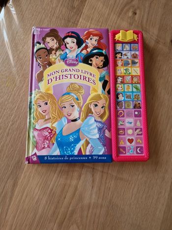 Livre princesses histoire électronique