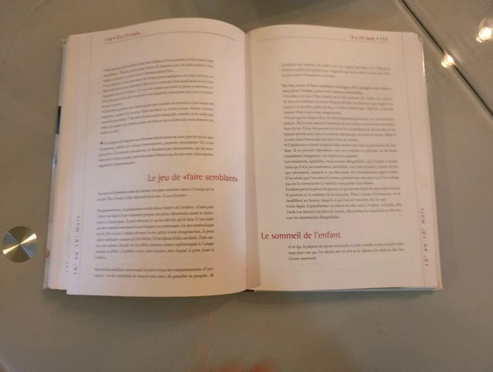 Livre sur son enfant - photo numéro 9