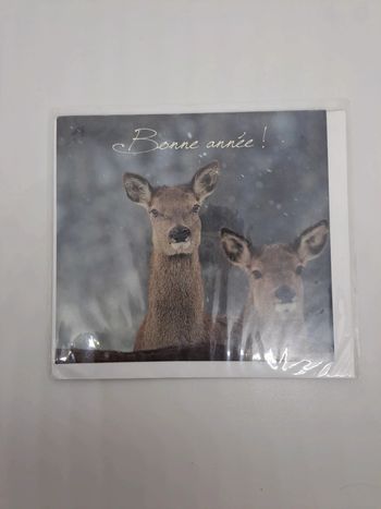 Carte postale avec son enveloppe.
13x12cm.
NEUVE. 2 biches