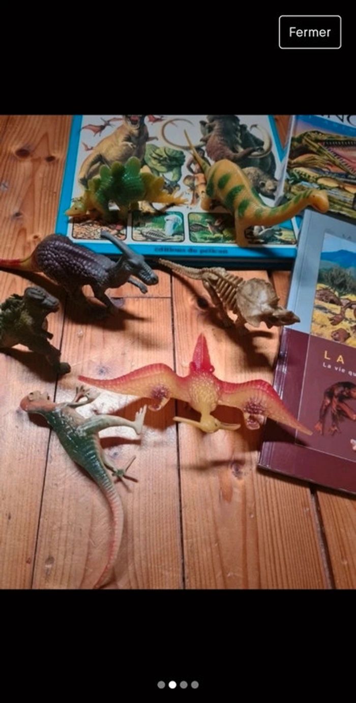 Lot livres découverte préhistoire - photo numéro 2
