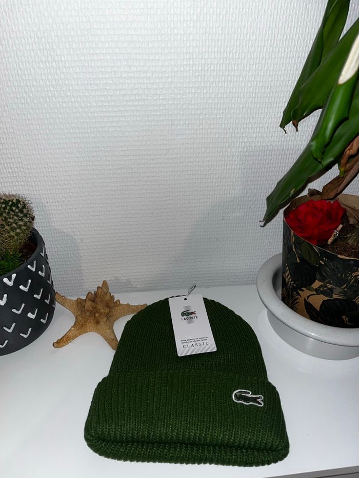 Bonnet - photo numéro 2