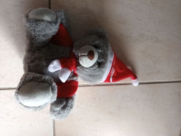 peluche ours
