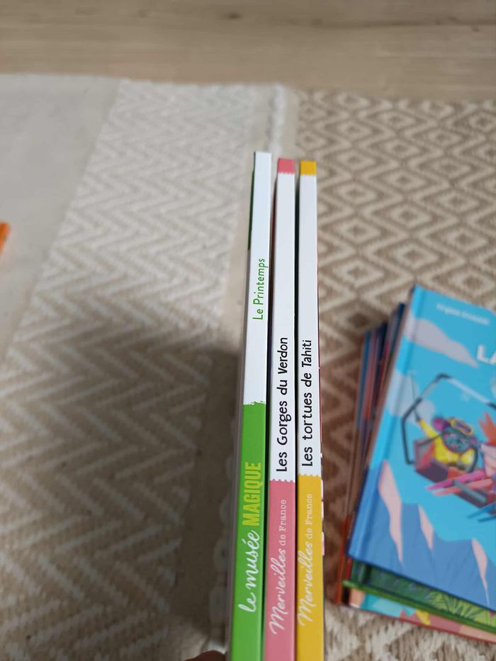 Livres Mcdo - photo numéro 3