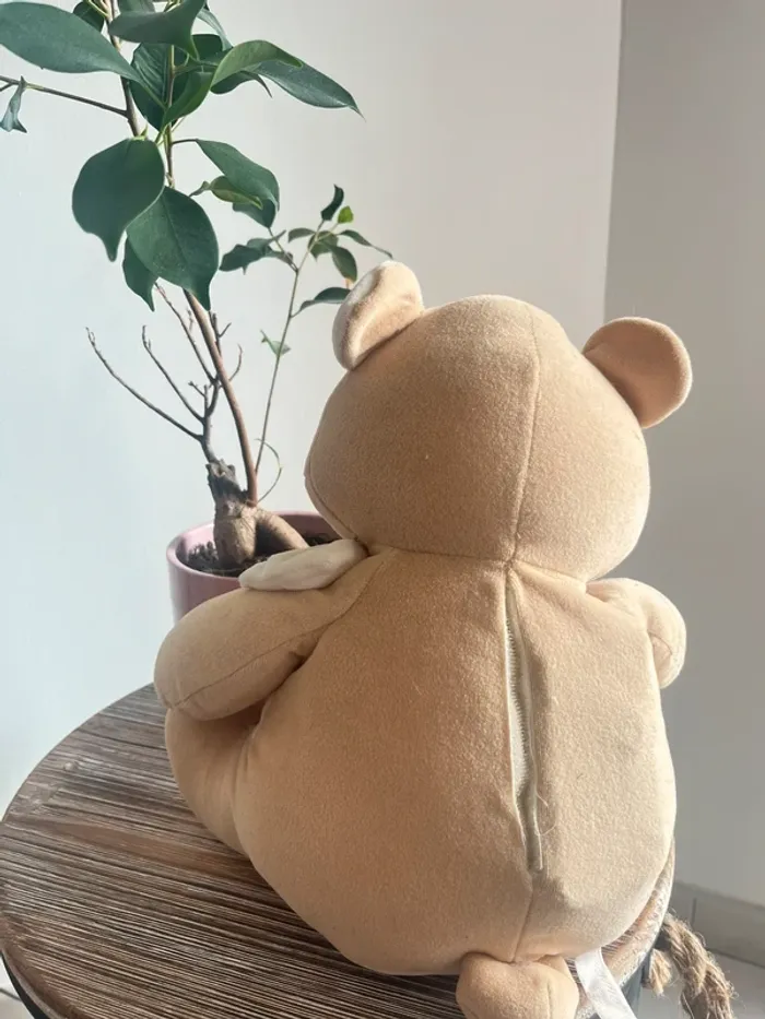Peluche nounours - photo numéro 3