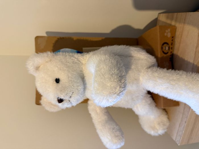 max & sax peluche ours livre - photo numéro 4