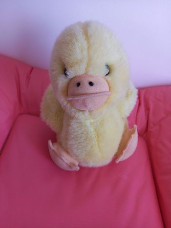 Peluche canard