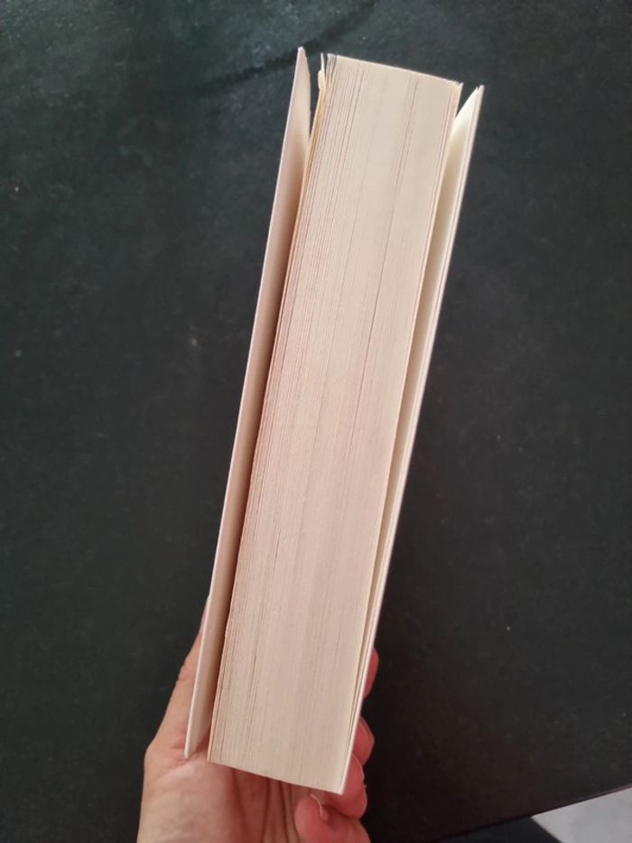 L'interprétation des peurs de Wulf Dorn - photo numéro 4